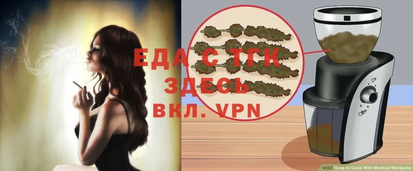 индика Алексин