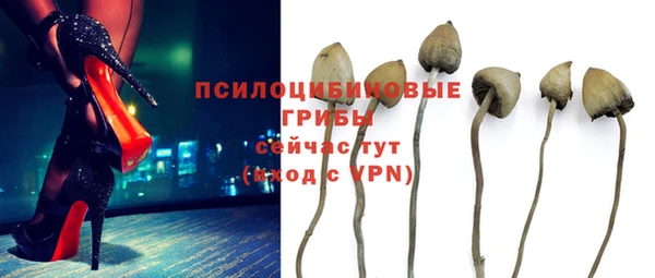 индика Алексин