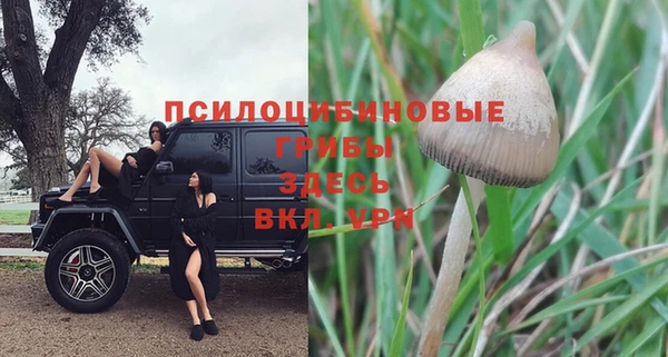 бутират Алзамай