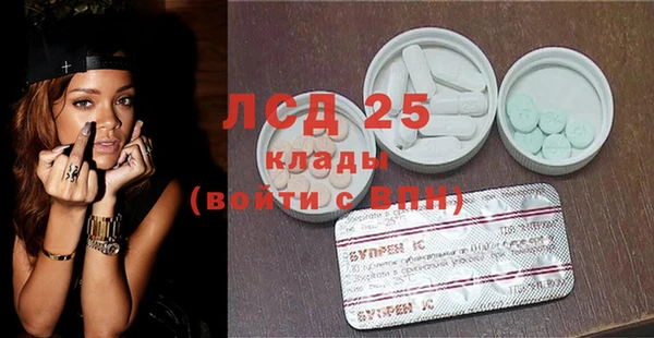 индика Алексин