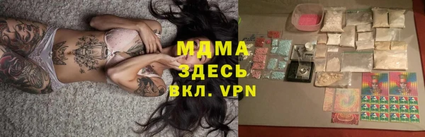 индика Алексин